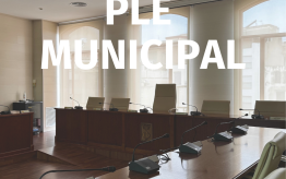 Ple Ordinari 26 de juny de 2025
