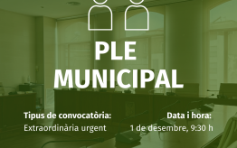 Ple Extraordinari Urgent, 1 de desembre de 2025