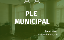 Ple ordinari, 9 de setembre de 2026