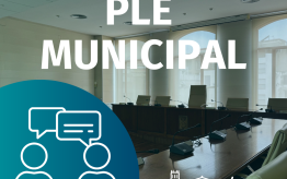 Ple Ordinari 27 de febrer de 2025